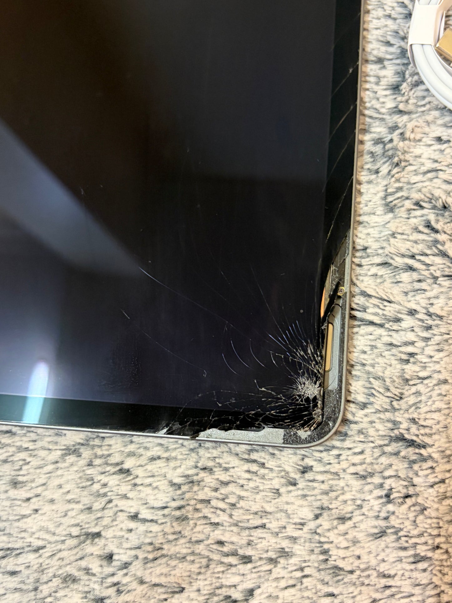 Apple iPad Pro 11 inch 2nd Gen 128gb WiFi - Damaged Screen.
