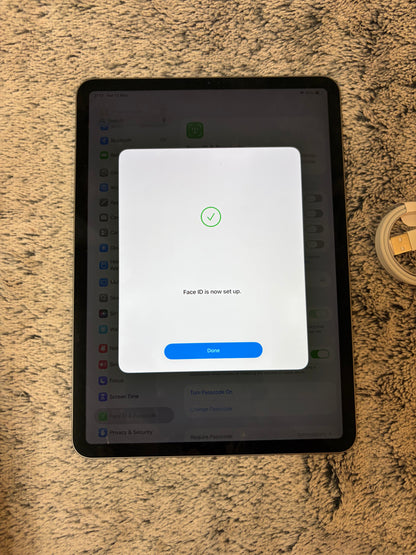 Apple iPad Pro 11 inch 2nd Gen 128gb WiFi - Minor Screen Fault - Fully Working!