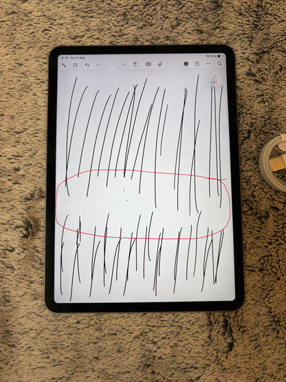 Apple iPad Pro 11 inch 2nd Gen 128gb WiFi - Minor Screen Fault - Fully Working!