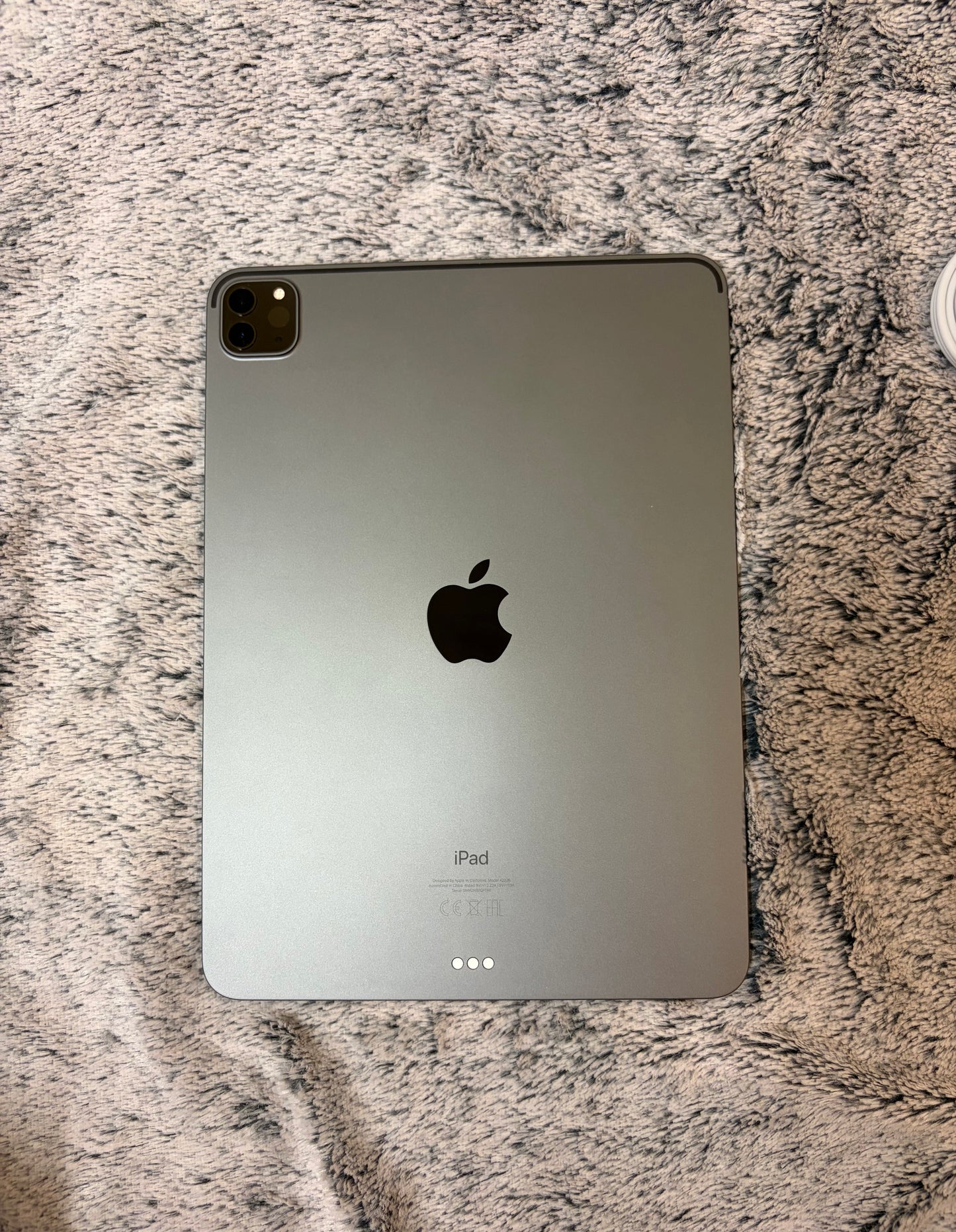 Apple iPad Pro 11 inch 2nd Gen 128gb WiFi - Minor Screen Fault - Fully Working!