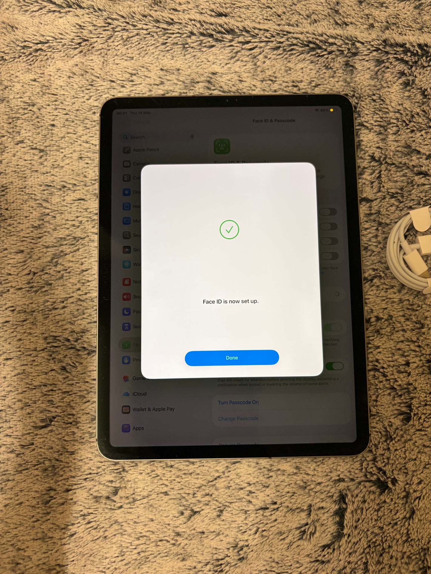Apple iPad Pro 11 inch 1st Gen -  512gb WiFi/Cellular (Unlocked).
